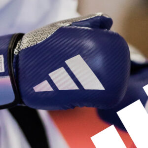 GUANTES TAEKWONDO