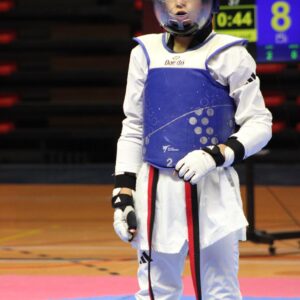 PROTECCIONES DE TAEKWONDO